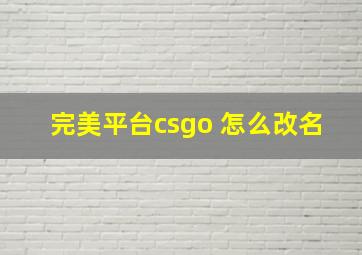 完美平台csgo 怎么改名